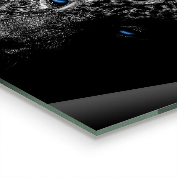 Crédence cuisine en verre Chat sauvage panthère noire