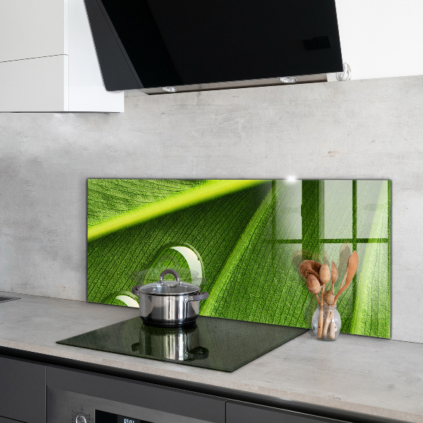 Crédence cuisine en verre Goutte de rosée sur une feuille