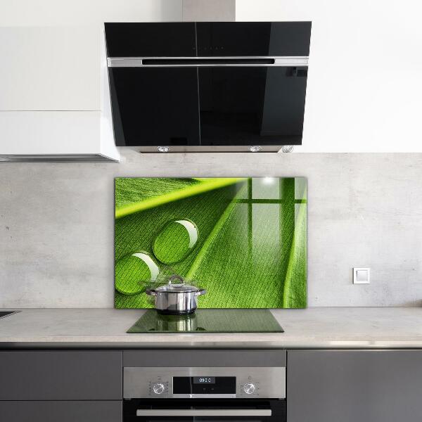 Crédence cuisine en verre Goutte de rosée sur une feuille