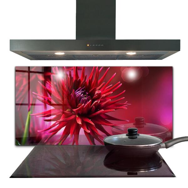 Crédence cuisine en verre Fleur de dahlia rouge