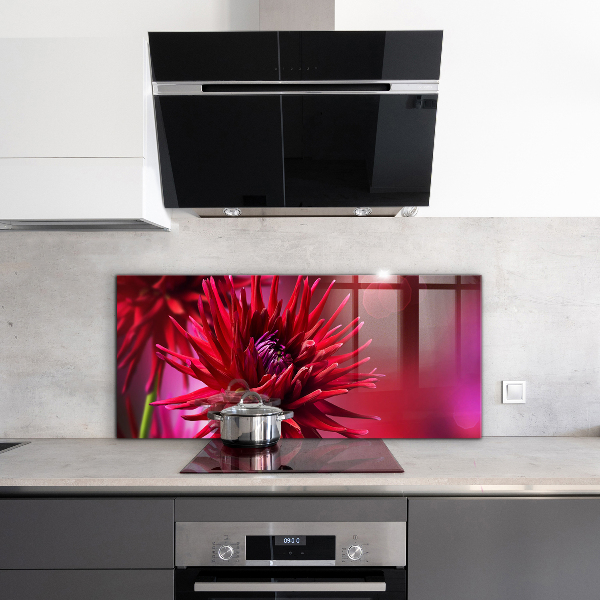 Crédence cuisine en verre Fleur de dahlia rouge