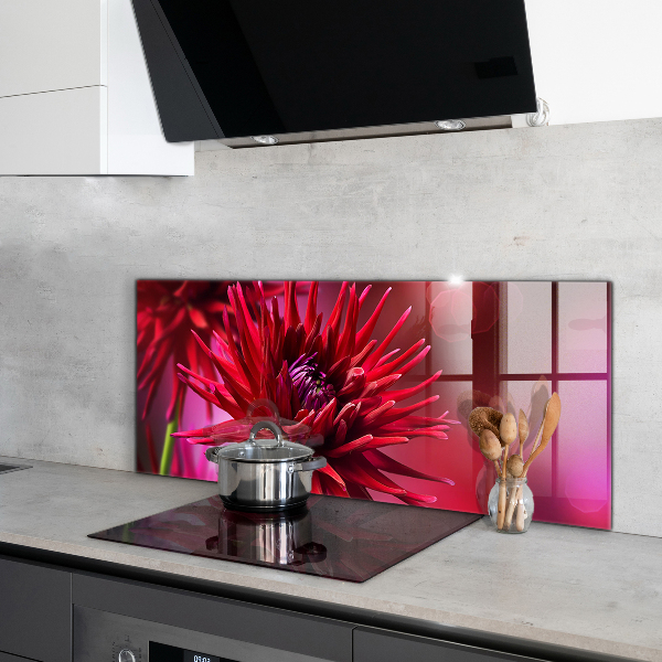 Crédence cuisine en verre Fleur de dahlia rouge