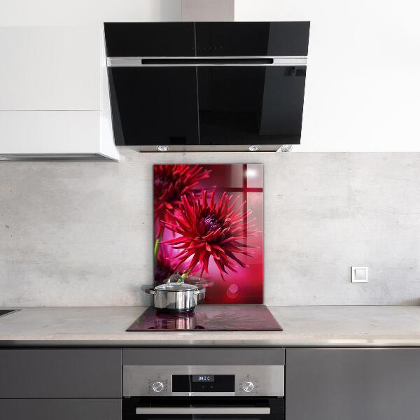 Crédence cuisine en verre Fleur de dahlia rouge