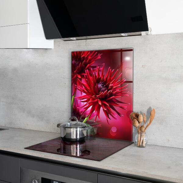Crédence cuisine en verre Fleur de dahlia rouge