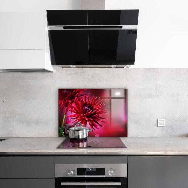 Crédence cuisine en verre Fleur de dahlia rouge