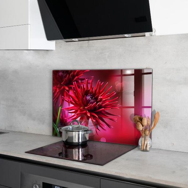 Crédence cuisine en verre Fleur de dahlia rouge