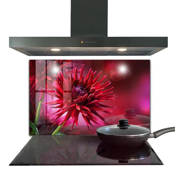 Crédence cuisine en verre Fleur de dahlia rouge