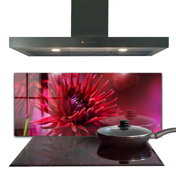 Crédence cuisine en verre Fleur de dahlia rouge