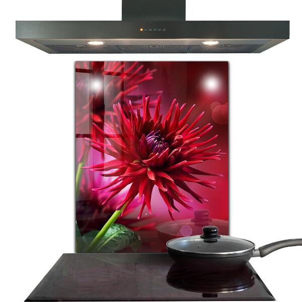Crédence cuisine en verre Fleur de dahlia rouge