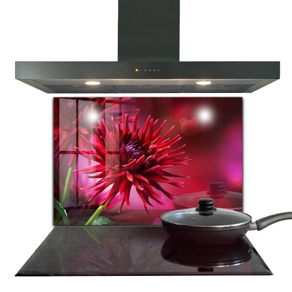 Crédence cuisine en verre Fleur de dahlia rouge