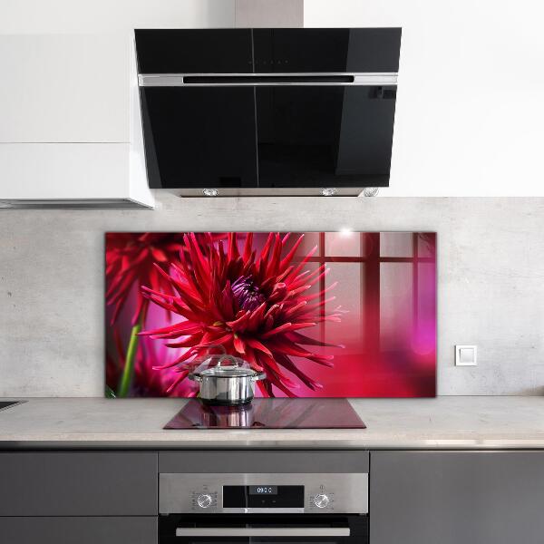 Crédence cuisine en verre Fleur de dahlia rouge
