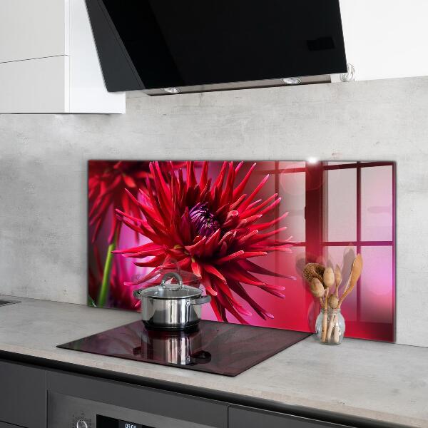 Crédence cuisine en verre Fleur de dahlia rouge