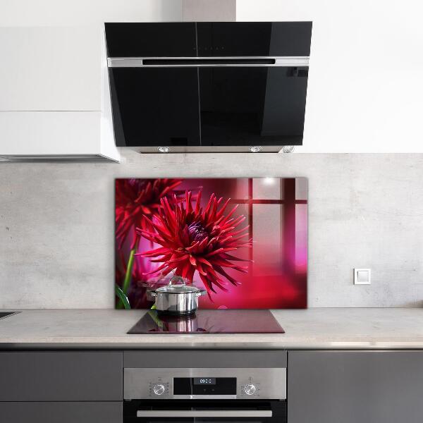 Crédence cuisine en verre Fleur de dahlia rouge