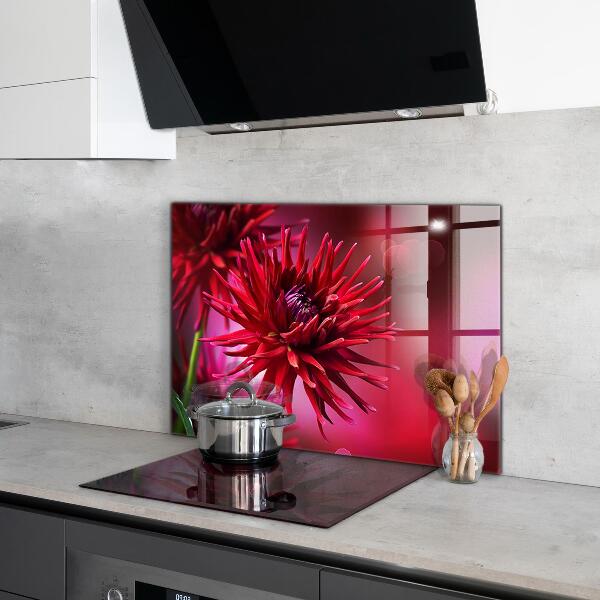 Crédence cuisine en verre Fleur de dahlia rouge