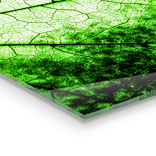 Crédence cuisine en verre Texture de feuille verte