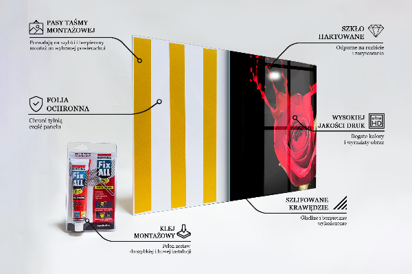 Crédence cuisine en verre Résumé de rose rouge