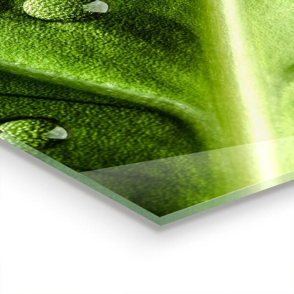 Crédence cuisine en verre Feuille avec des gouttes de rosée du matin