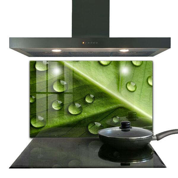 Crédence cuisine en verre Feuille avec des gouttes de rosée du matin