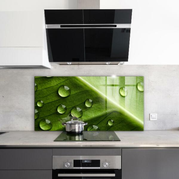 Crédence cuisine en verre Feuille avec des gouttes de rosée du matin