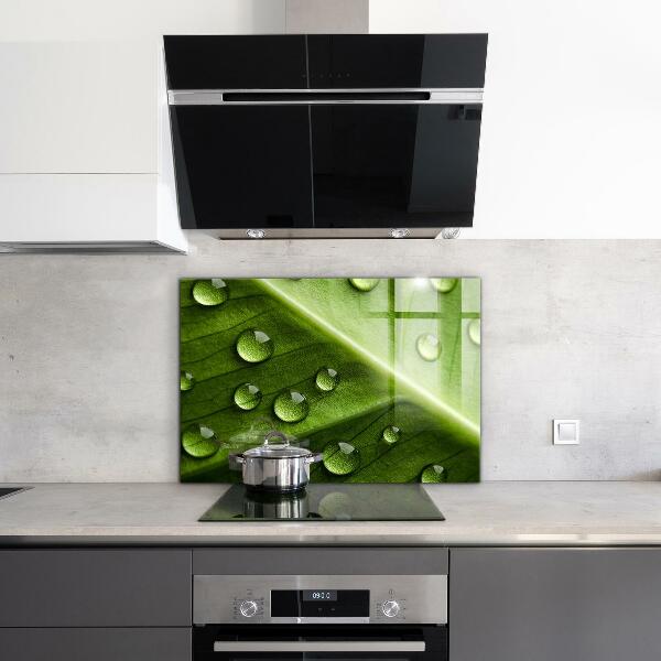 Crédence cuisine en verre Feuille avec des gouttes de rosée du matin