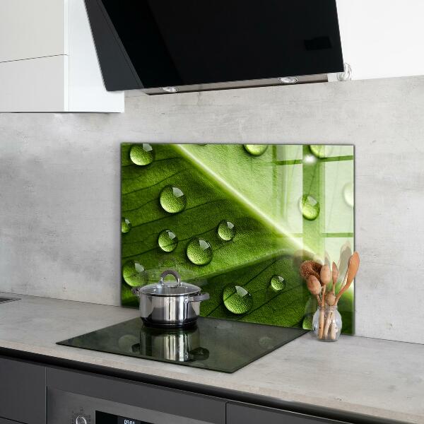 Crédence cuisine en verre Feuille avec des gouttes de rosée du matin