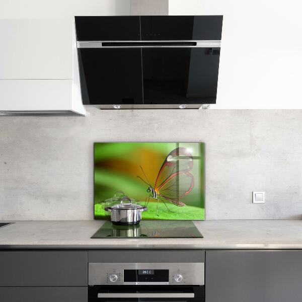 Crédence cuisine en verre Papillon sur une feuille