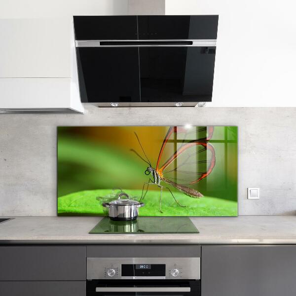 Crédence cuisine en verre Papillon sur une feuille