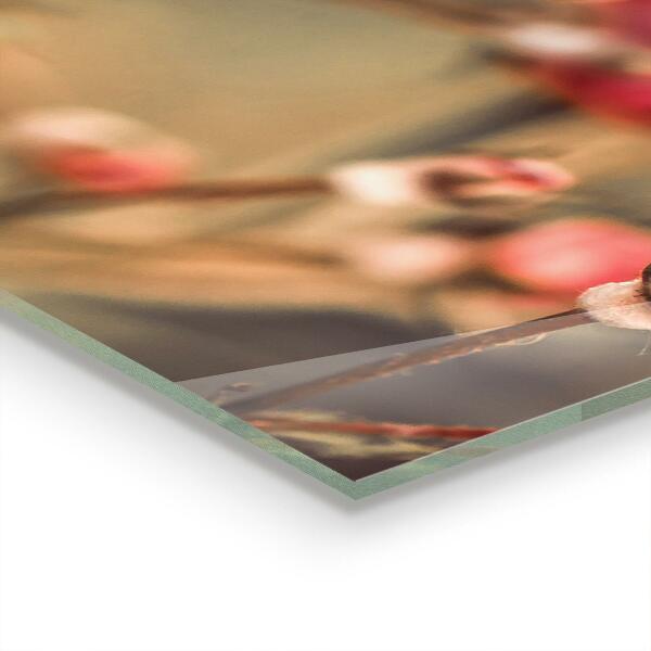 Crédence cuisine en verre Rose sauvage dans le parc