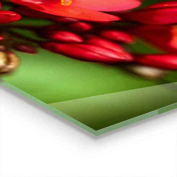 Crédence cuisine en verre Boutons floraux en fleurs