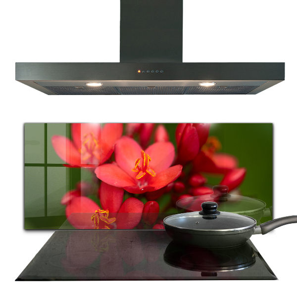 Crédence cuisine en verre Boutons floraux en fleurs