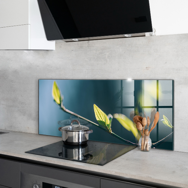 Crédence cuisine en verre Feuille brillante sur branche