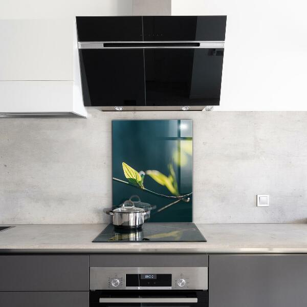 Crédence cuisine en verre Feuille brillante sur branche
