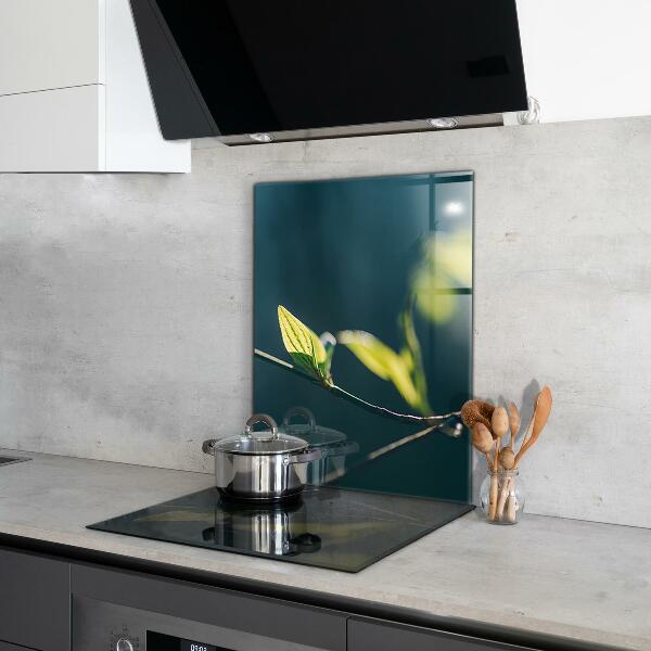 Crédence cuisine en verre Feuille brillante sur branche