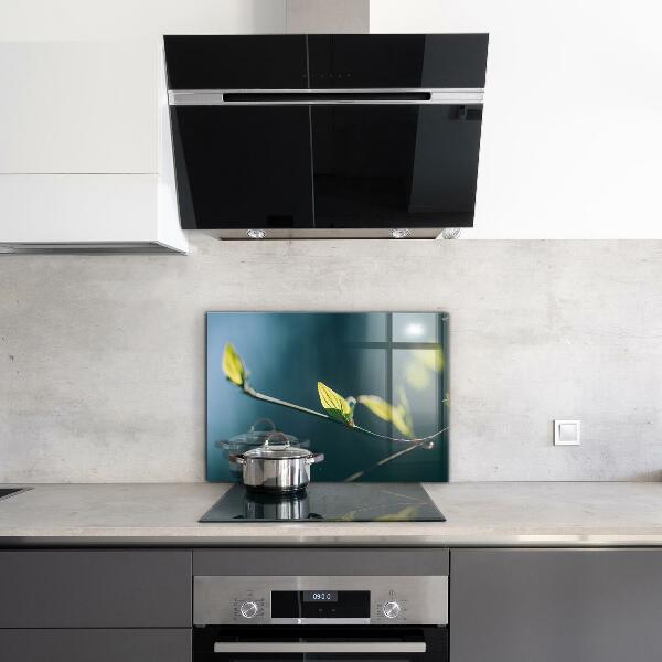 Crédence cuisine en verre Feuille brillante sur branche