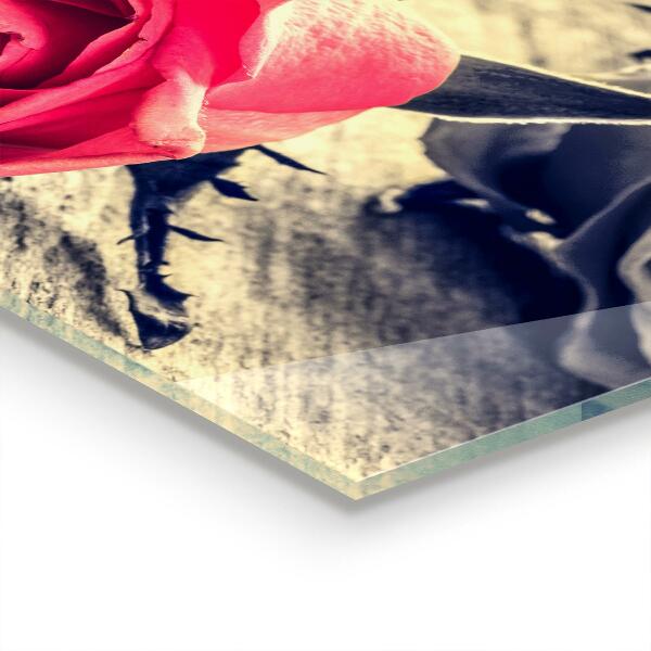Crédence cuisine en verre Rose symbole d'amour