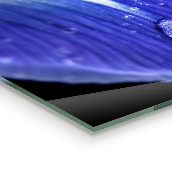 Crédence cuisine en verre Fleur d'iris violet