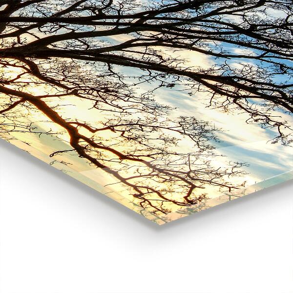 Crédence cuisine en verre Paysage prairie le matin