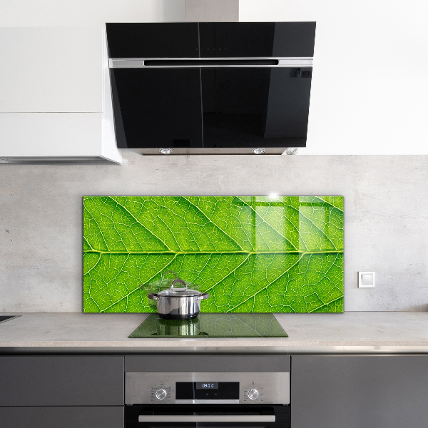 Crédence cuisine en verre Détails délicats des feuilles