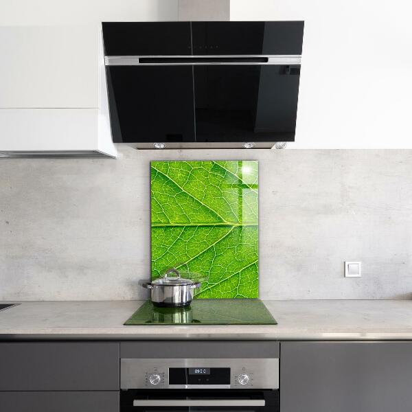 Crédence cuisine en verre Détails délicats des feuilles