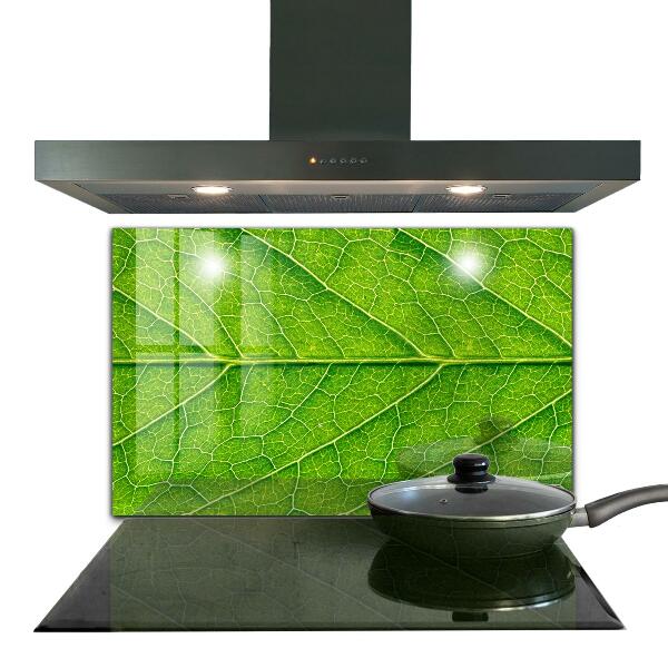 Crédence cuisine en verre Détails délicats des feuilles