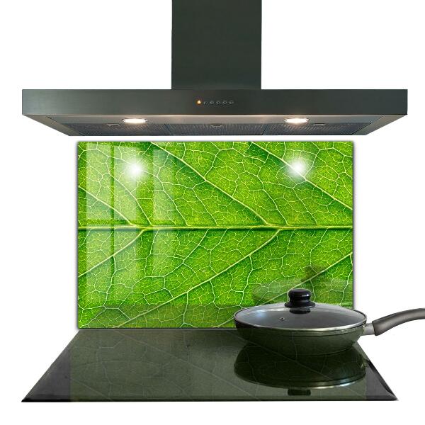 Crédence cuisine en verre Détails délicats des feuilles