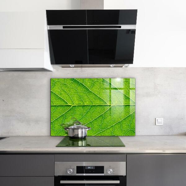 Crédence cuisine en verre Détails délicats des feuilles