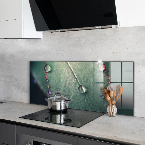 Crédence cuisine en verre Feuille avec une goutte de rosée