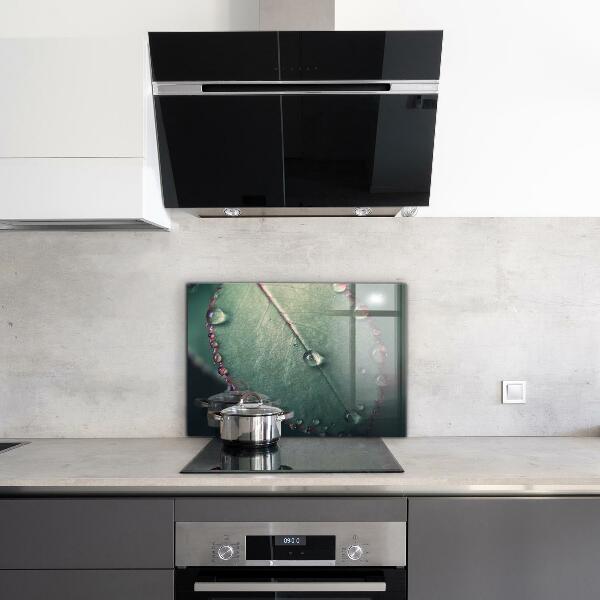 Crédence cuisine en verre Feuille avec une goutte de rosée