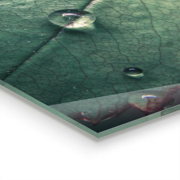 Crédence cuisine en verre Feuille avec une goutte de rosée