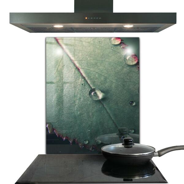 Crédence cuisine en verre Feuille avec une goutte de rosée