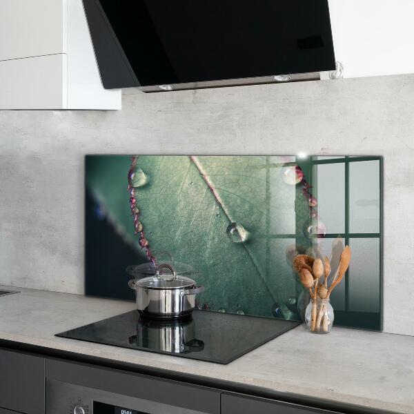 Crédence cuisine en verre Feuille avec une goutte de rosée