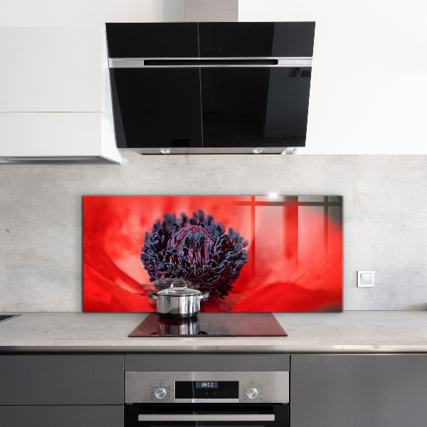 Crédence cuisine en verre Détails du coquelicot rouge