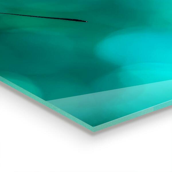 Crédence cuisine en verre Beau papillon dans la nature