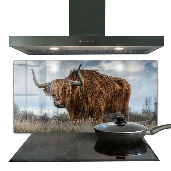 Crédence cuisine en verre Vache boho des highlands